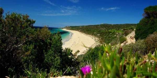 Is This The Cheapest Block Of Land In Mainland Australia is-this-the-cheapest-block-of-land-in-mainland-australia